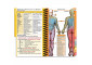 MDpocket California State University Monterey Bay Physician Assistant - 2021