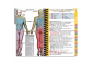 MDpocket Case Western Reserve University Physician Assistant - 2020