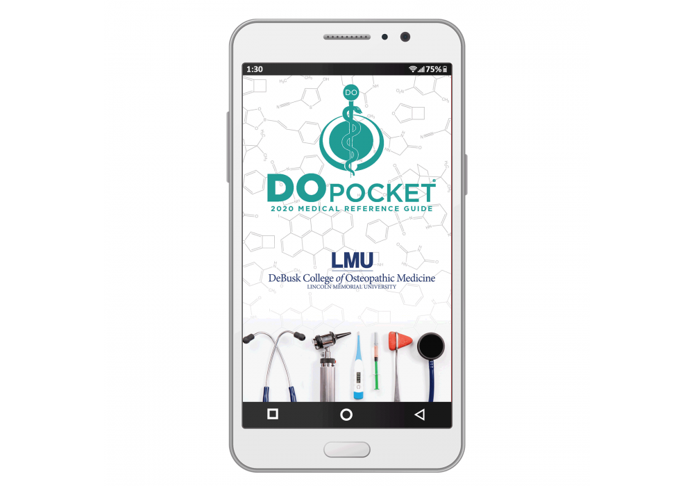 DOpocket Lincoln Memorial University eBook - 2020