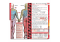 Ross University SOM Mini Student Book - 2019