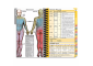 MDpocket University of Evansville Physician Assistant - 2020