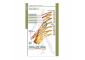 MDpocket Neurology eBook
