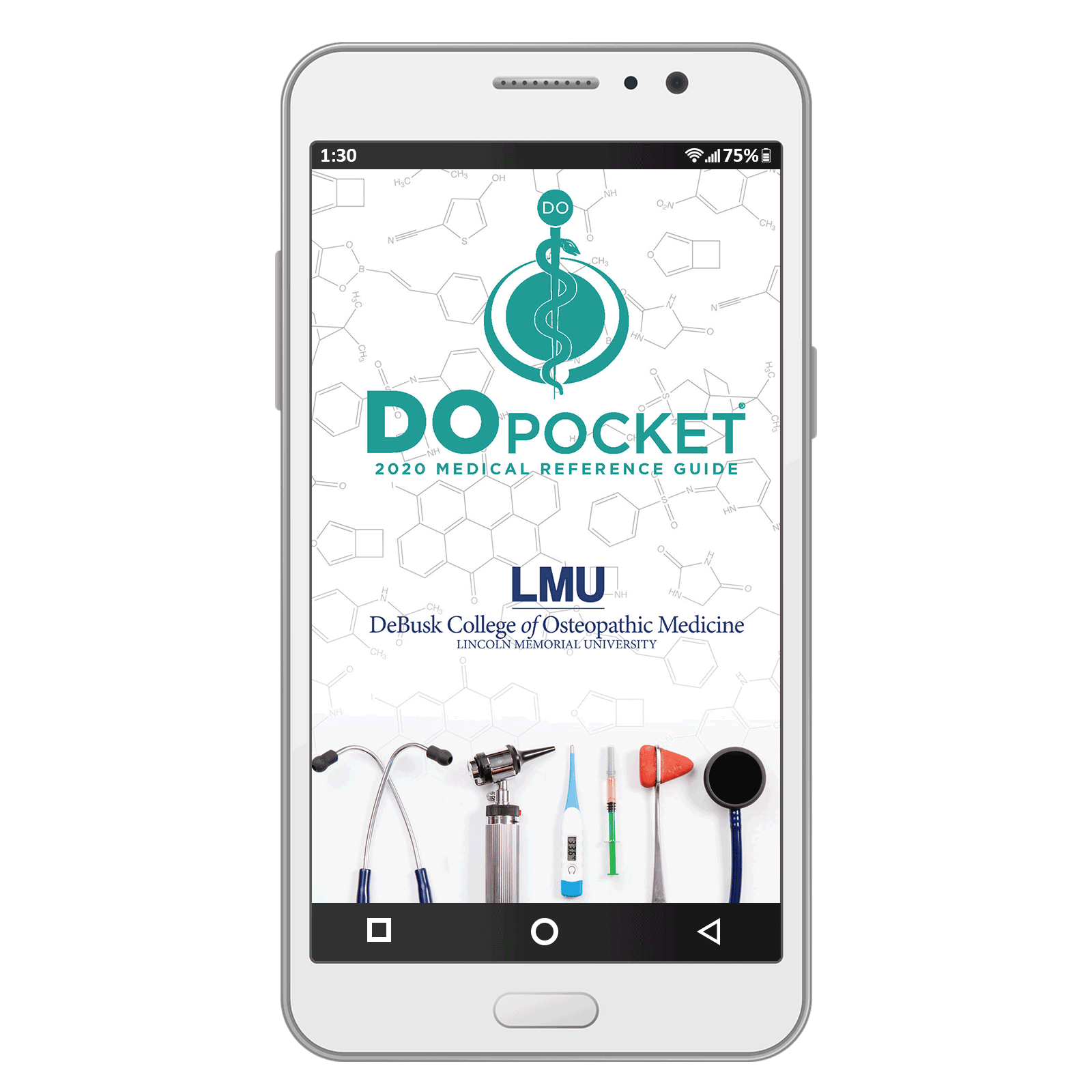 DOpocket Lincoln Memorial University eBook - 2020